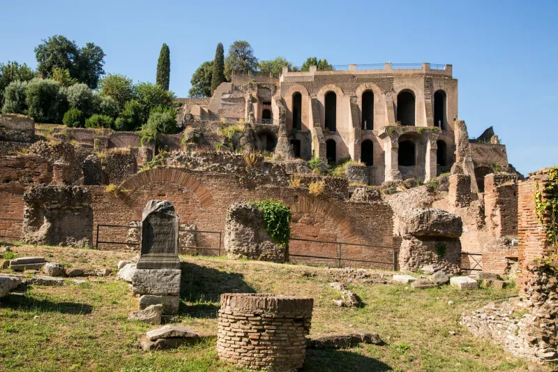 The Seven Immutable Laws of Political Rebellion: Why Populist Movements Always Follow the Same Script